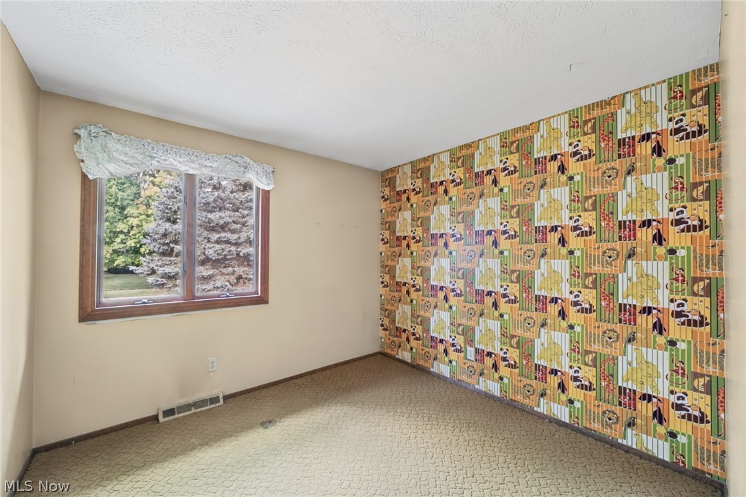 461 Delaware Drive Brunswick OH 44212