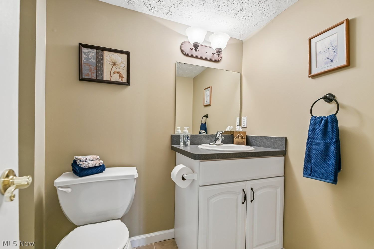1417 Spyglass Hill Drive Brunswick OH 44212