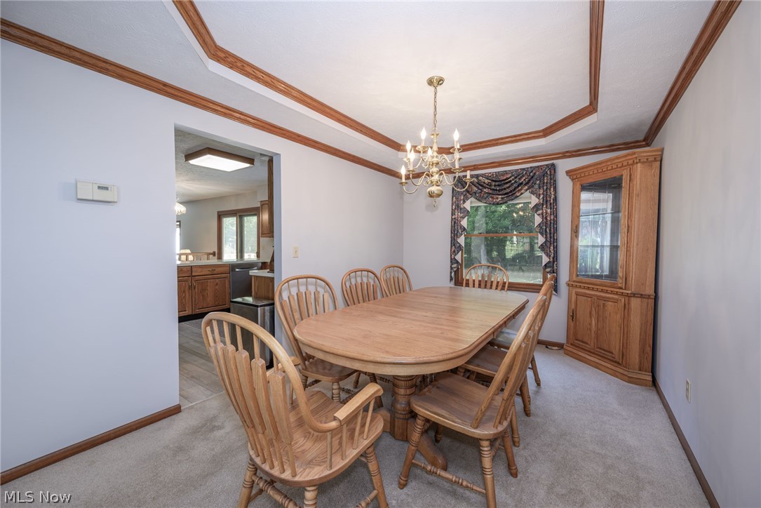 1133 Sharonbrook Drive Twinsburg OH 44087