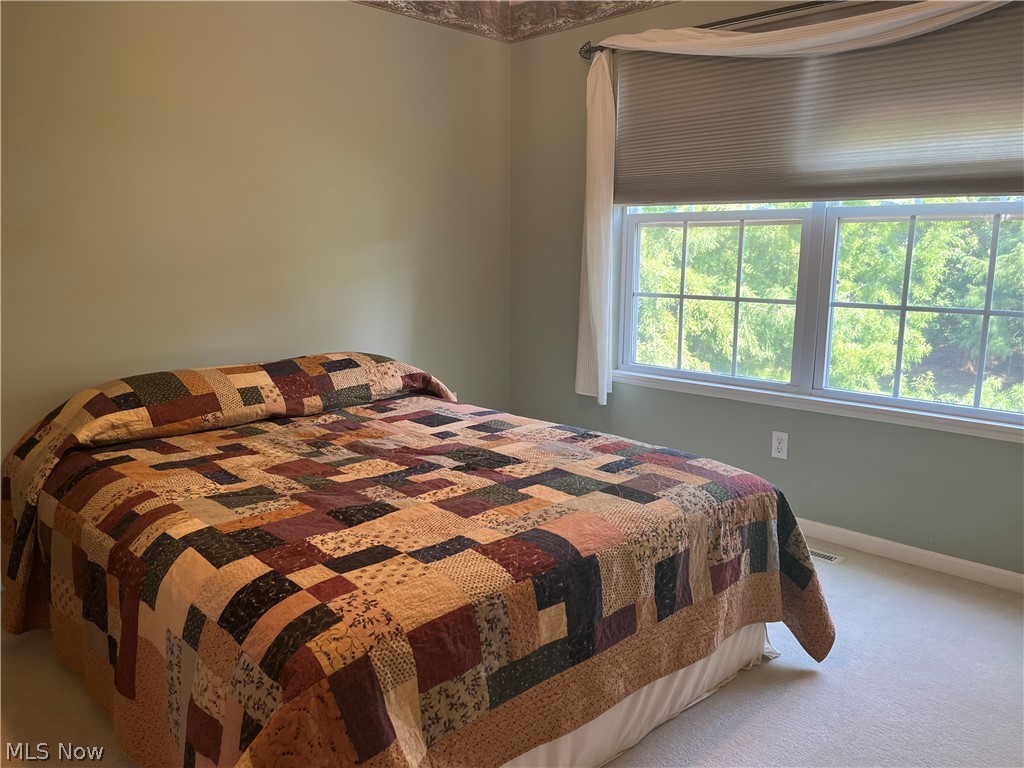 805 Gallo Drive Brunswick OH 44212