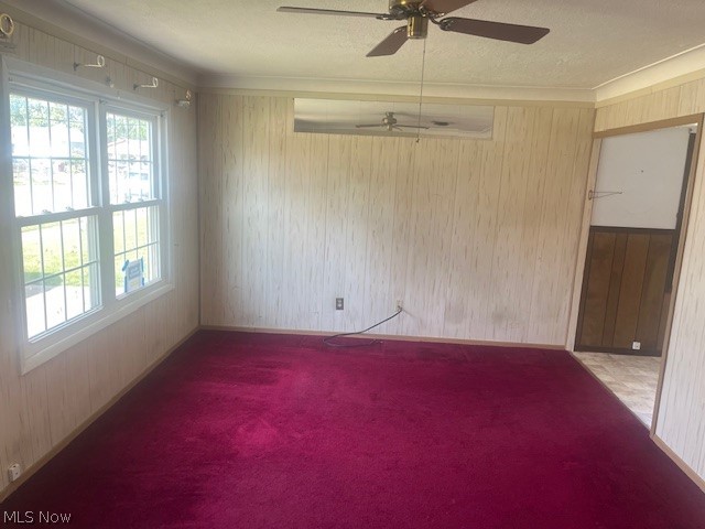 3613 146th Street Toledo OH 43611