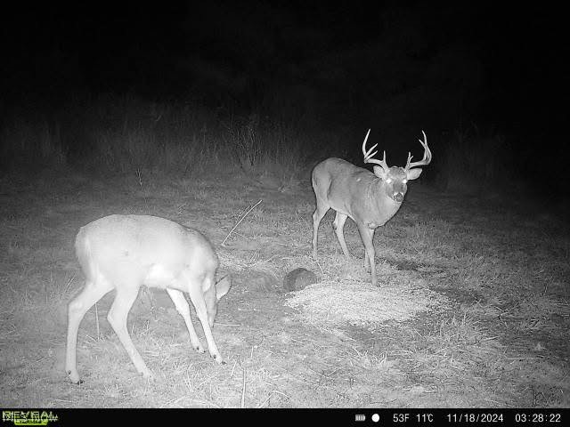 17116 County Road 298 Coshocton OH 43812