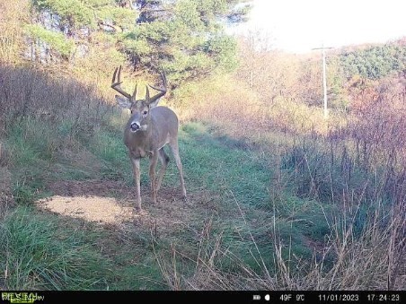 17116 County Road 298 Coshocton OH 43812