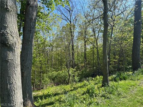132 Hillcrest Lane Elyria OH 44035
