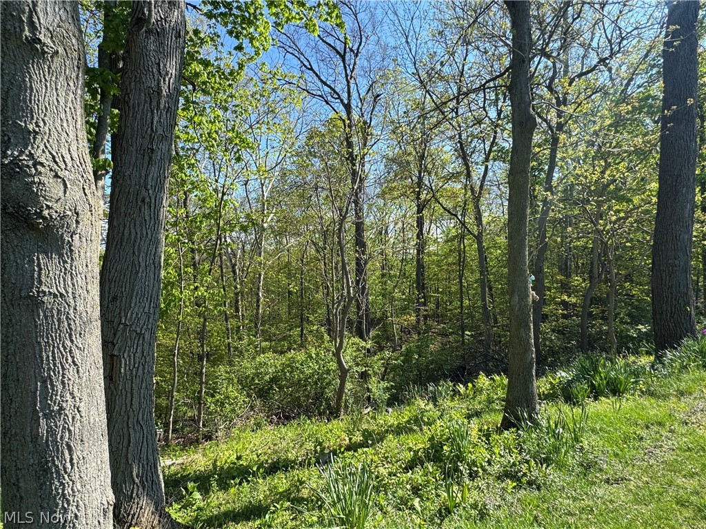 132 Hillcrest Lane Elyria OH 44035