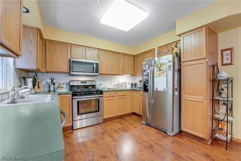 5432 Stoney Lane Painesville OH 44077