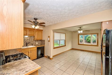 172 Davenport Avenue Akron OH 44312
