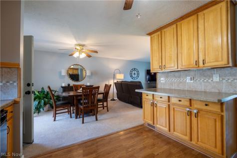 546 Fieldstone Drive Amherst OH 44001
