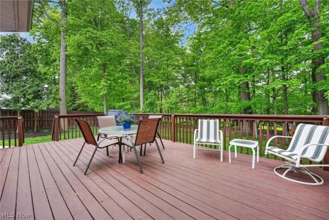 1137 Sturbridge Drive Medina OH 44256