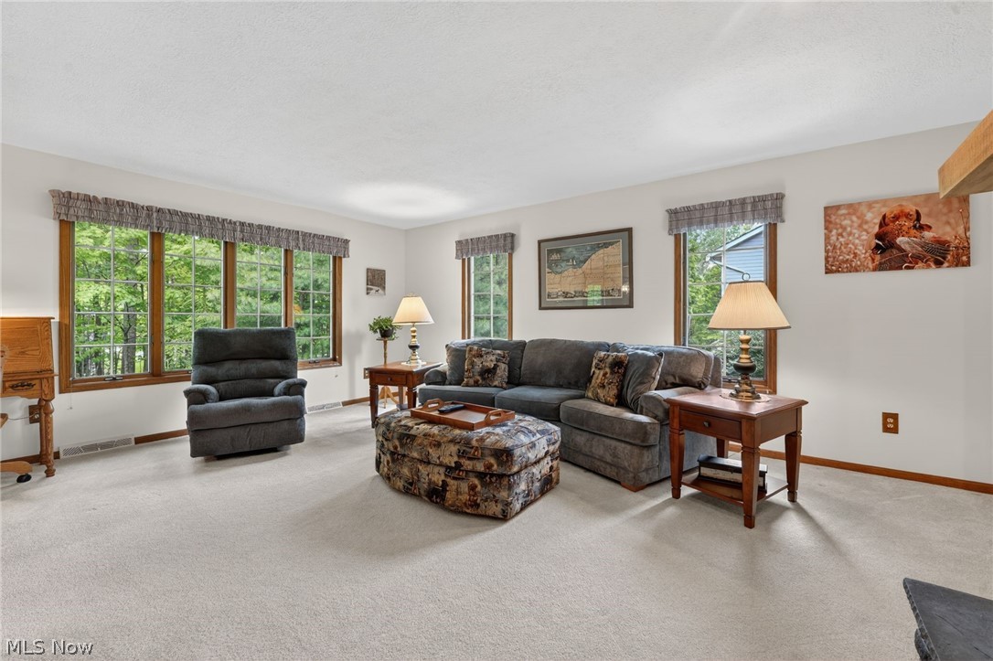 1137 Sturbridge Drive Medina OH 44256