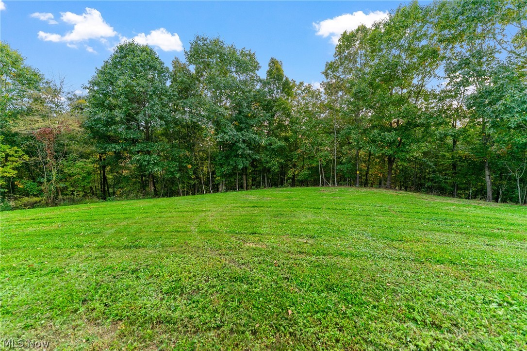 42009 Oak Ridge Road Wellsville OH 43968