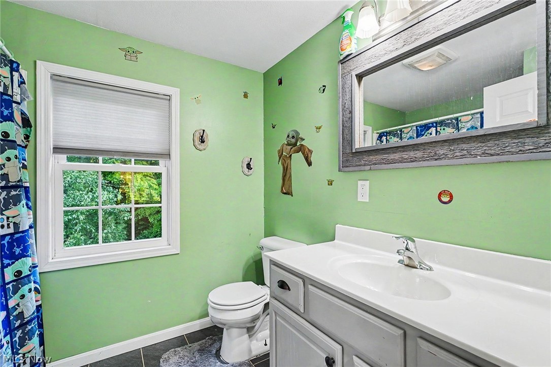 1310 Morning Star Drive Roaming Shores OH 44084