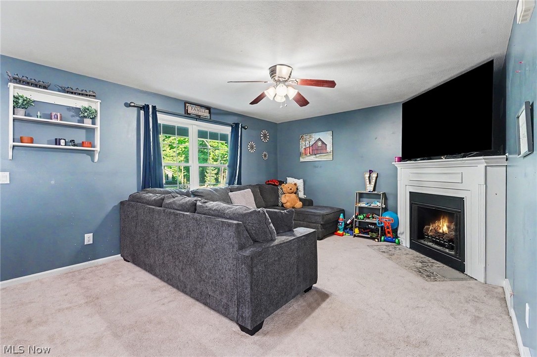 1310 Morning Star Drive Roaming Shores OH 44084