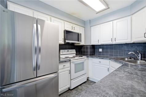 240 Moore Road Avon Lake OH 44012