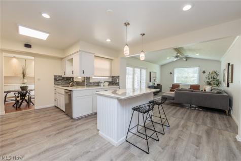 1767 Larkspur Drive Lyndhurst OH 44124