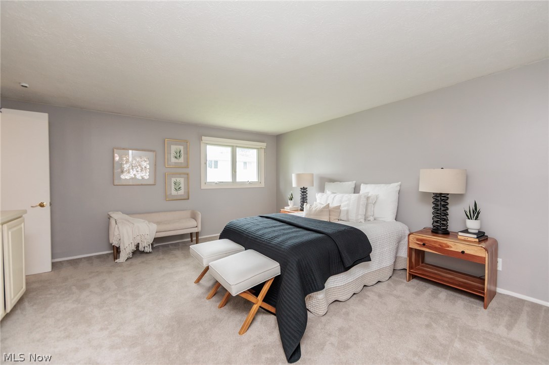 1767 Larkspur Drive Lyndhurst OH 44124