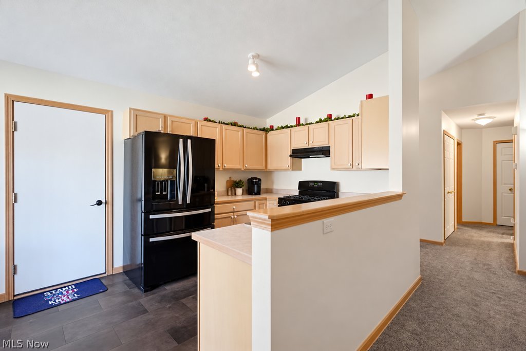 3886 Reeves Lane Medina OH 44256