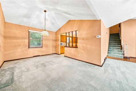 8631 Oxford Drive Strongsville OH 44149