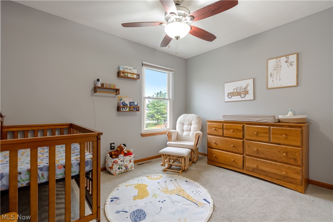 1095 Bennington Court Akron OH 44312