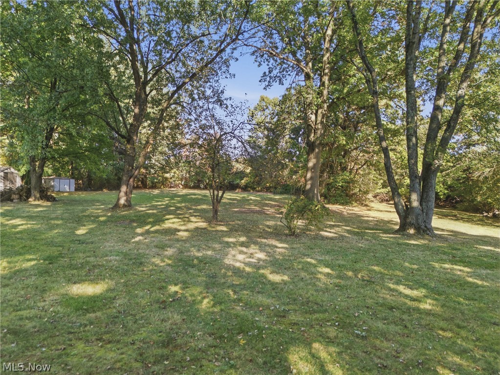 1745 Orchard Drive Akron OH 44333