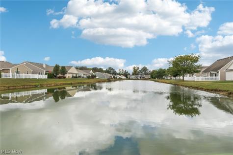 110 Carrington Court Elyria OH 44035