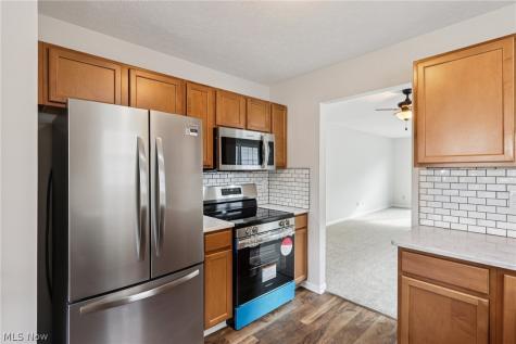 110 Carrington Court Elyria OH 44035