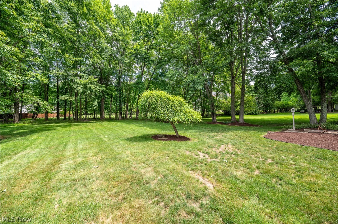 548 Squirrel Hill Drive Youngstown OH 44512