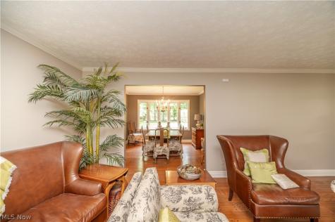 548 Squirrel Hill Drive Youngstown OH 44512