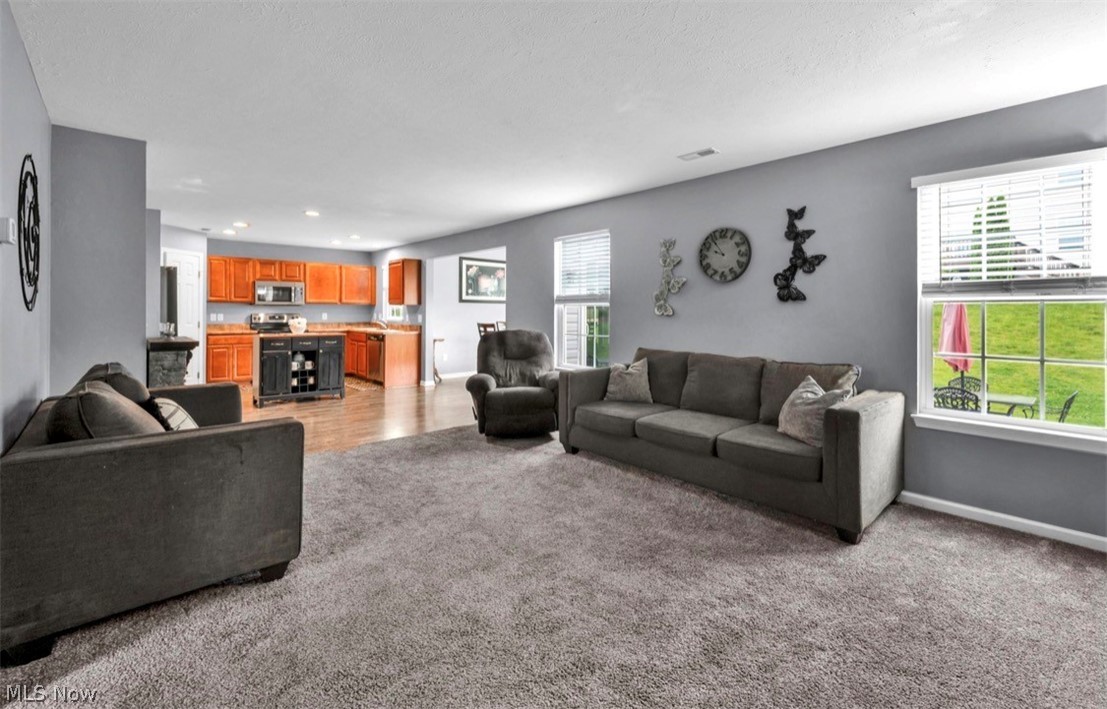 2663 Hollyhock Lane Medina OH 44256