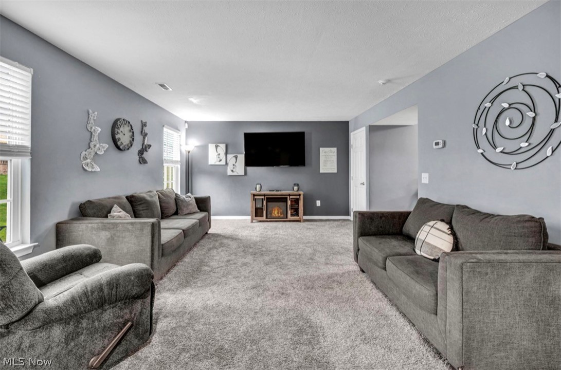 2663 Hollyhock Lane Medina OH 44256
