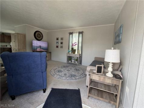 4341 Riverview Road Peninsula OH 44264