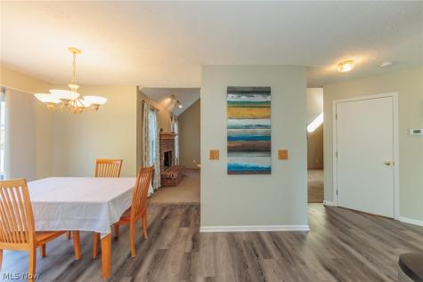 4464 Great Smokey Circle Medina OH 44256