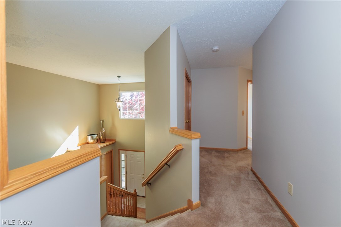 4464 Great Smokey Circle Medina OH 44256