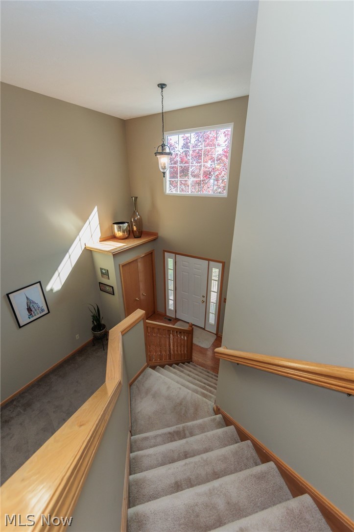 4464 Great Smokey Circle Medina OH 44256
