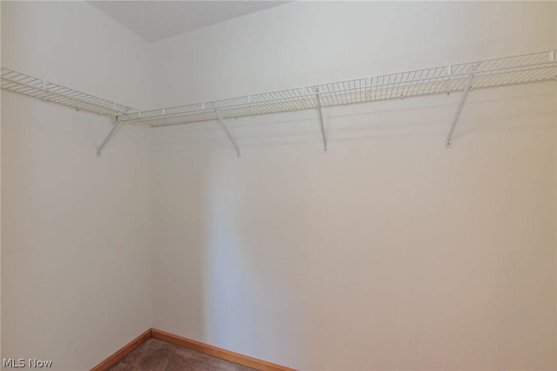 4464 Great Smokey Circle Medina OH 44256