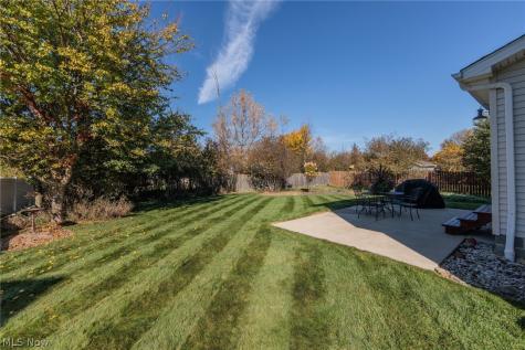 4464 Great Smokey Circle Medina OH 44256