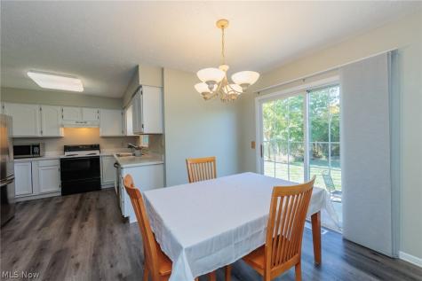 4464 Great Smokey Circle Medina OH 44256