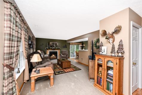 3126 Shelton Court Akron OH 44312