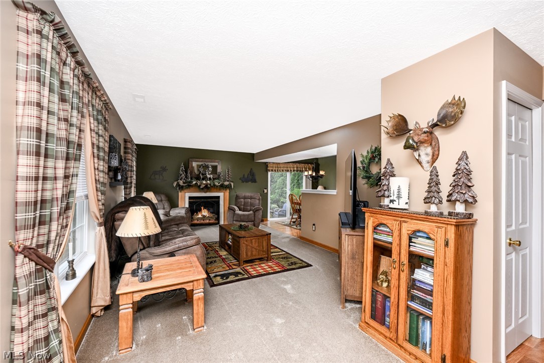 3126 Shelton Court Akron OH 44312