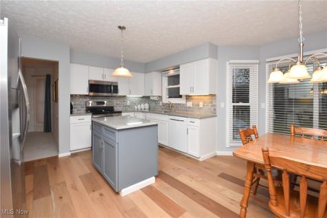 6701 Bretton Ridge Drive North Olmsted OH 44070