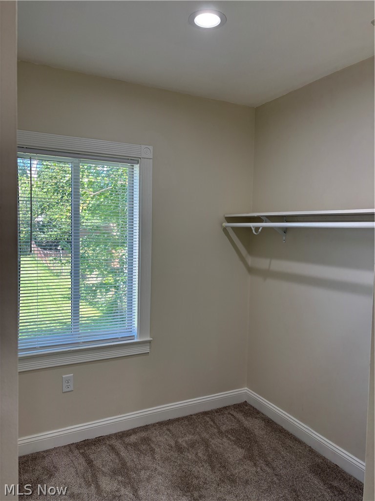 16814 Westdale Avenue Cleveland OH 44135