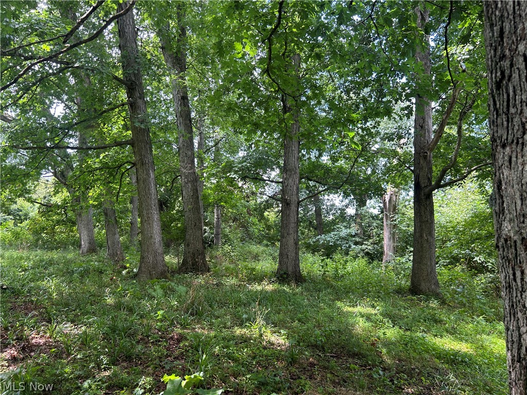 1480 Sunflower Road New Concord OH 43762