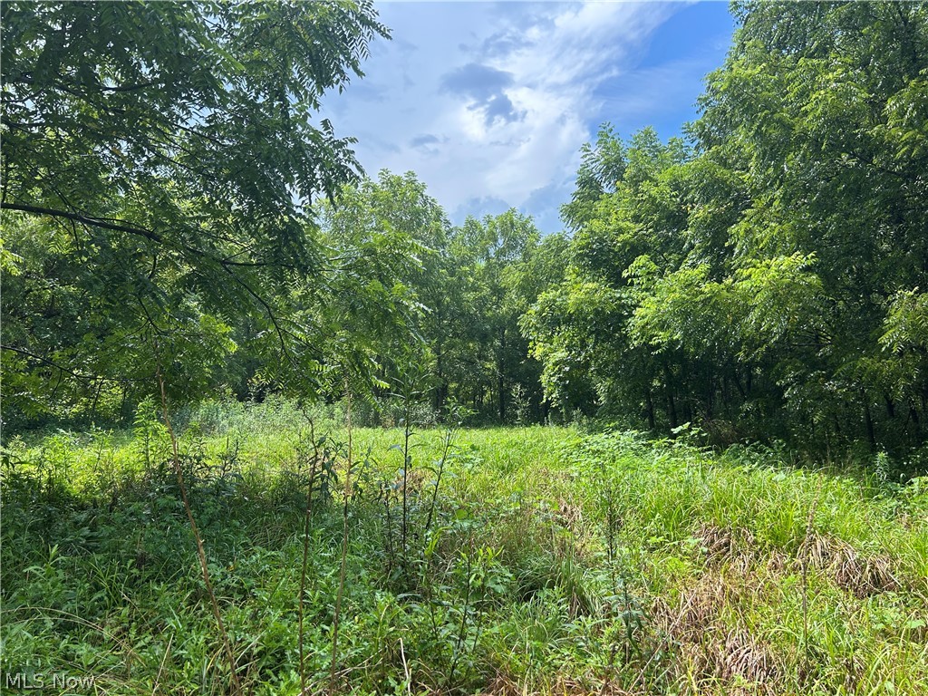 1480 Sunflower Road New Concord OH 43762