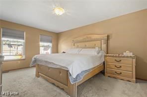 6309 Klines Drive Girard OH 44420