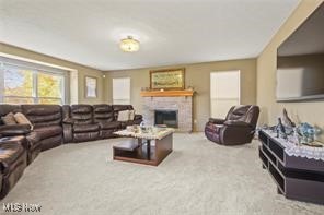 6309 Klines Drive Girard OH 44420