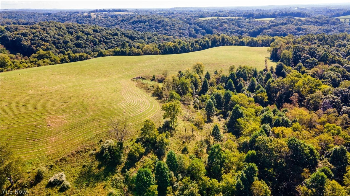 87123 Dodson Road Scio OH 43988