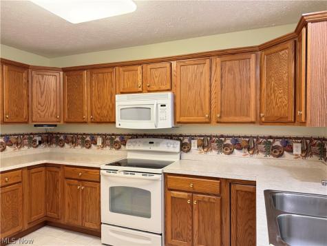 1349 Bannerstone Drive Painesville OH 44077