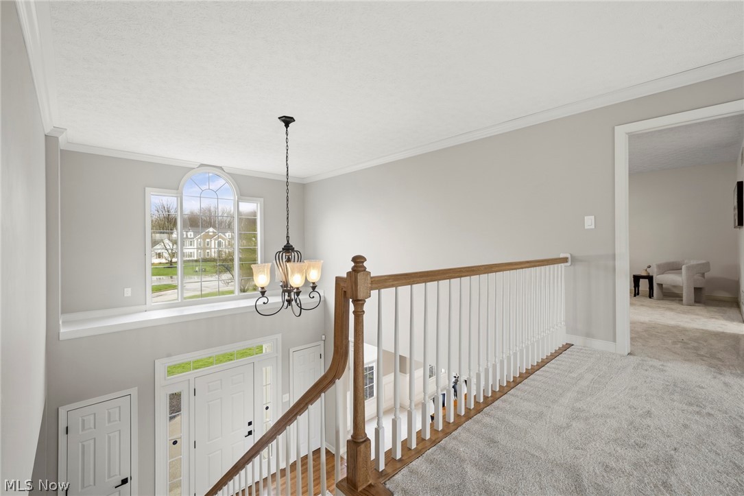 1878 E Haymarket Way Hudson OH 44236