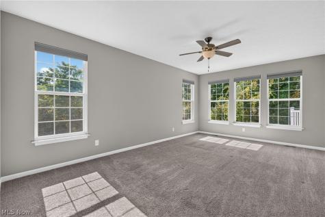 10007 Forest Valley Lane Streetsboro OH 44241