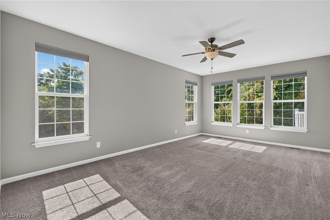 10007 Forest Valley Lane Streetsboro OH 44241